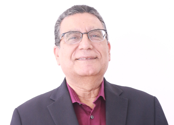 Professor Hassan Yousef Aly