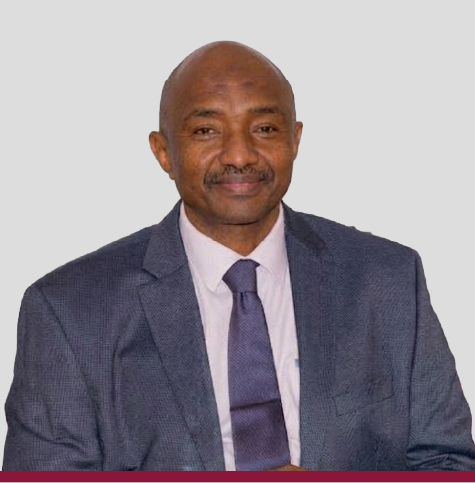 Ahmed Ibrahim Abushouk