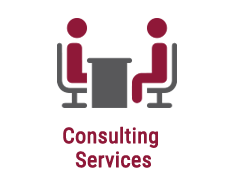 Consulting Services